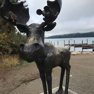 Meet your Posher, Dawn